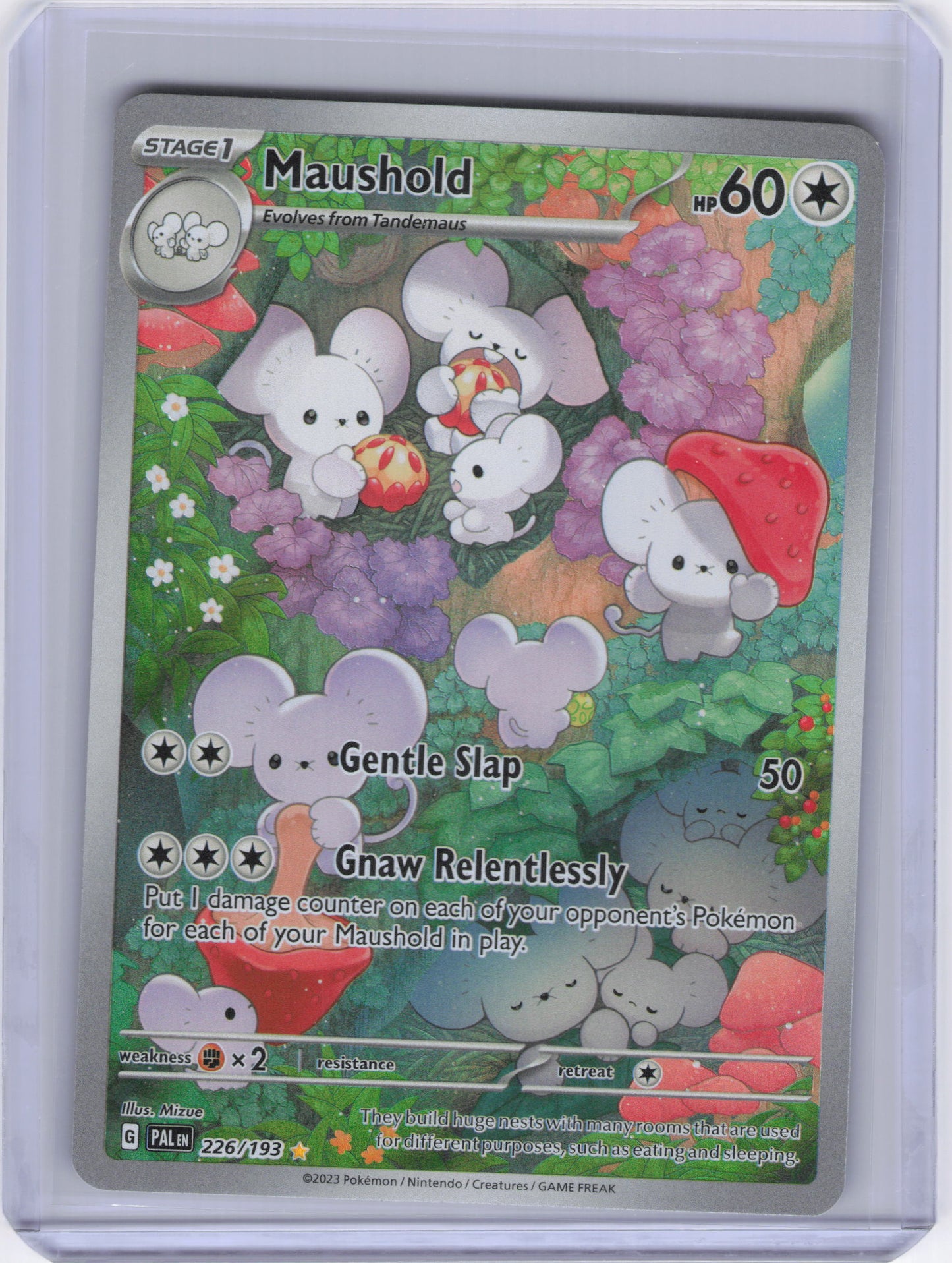 Maushold - 226/193 - SV02: Paldea Evolved (PAL)
