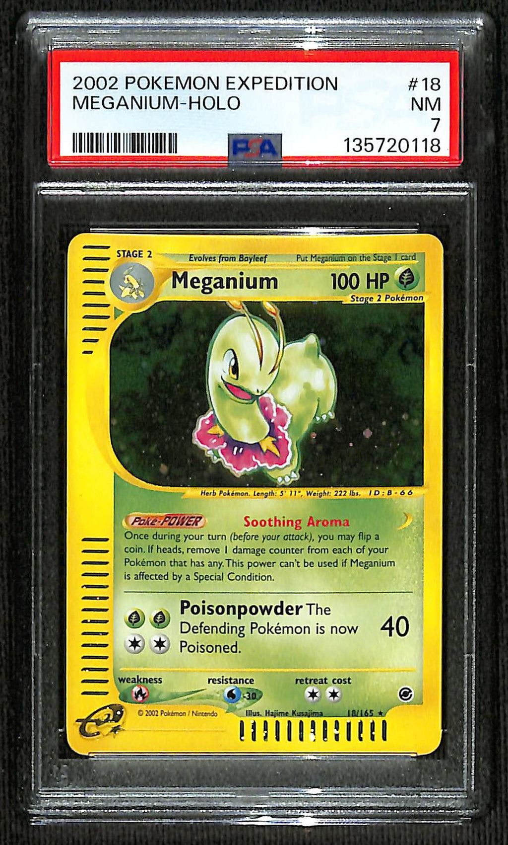 PSA 7 Meganium #18 (Holo) [Expedition]