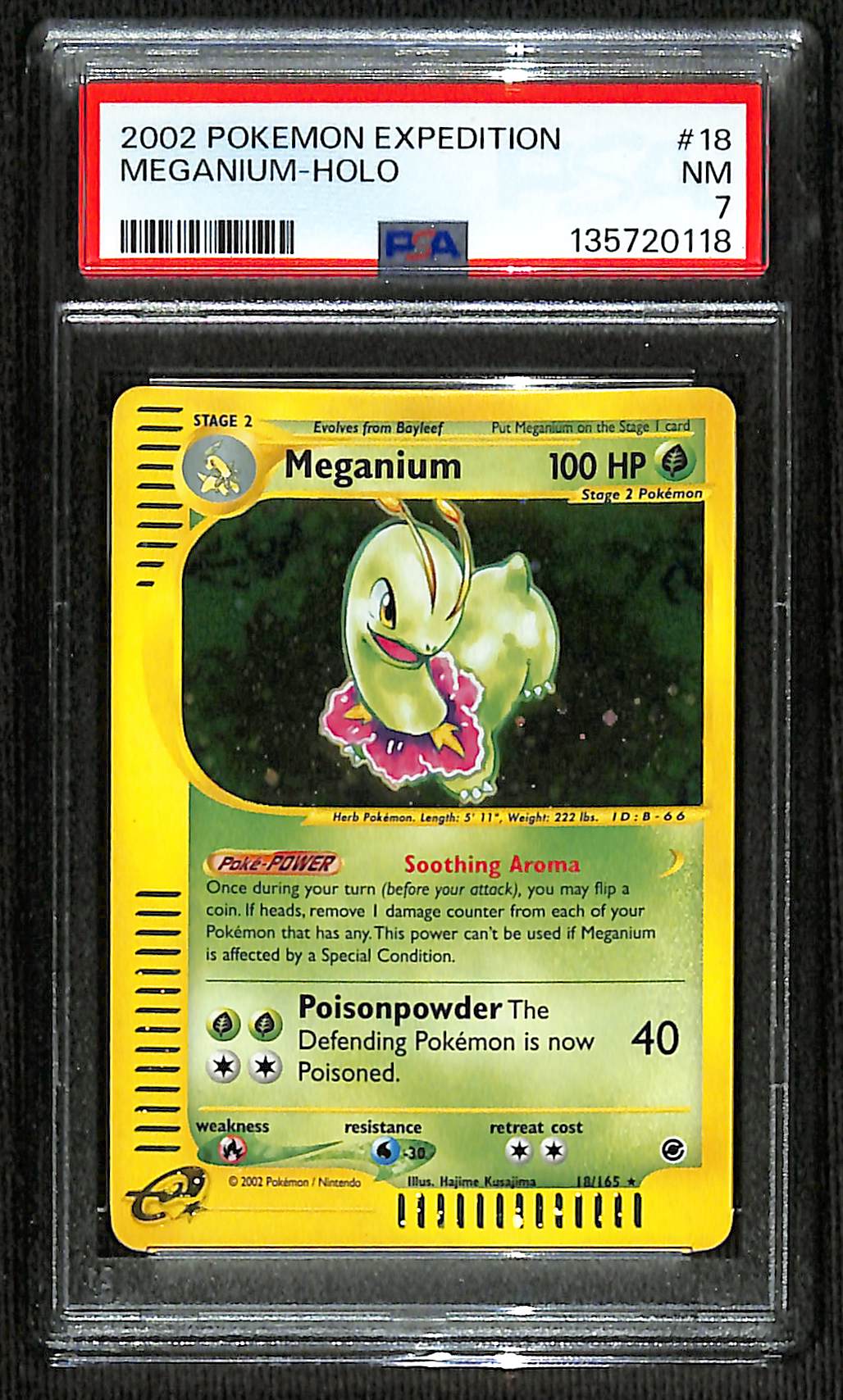 PSA 7 Meganium #18 (Holo) [Expedition]
