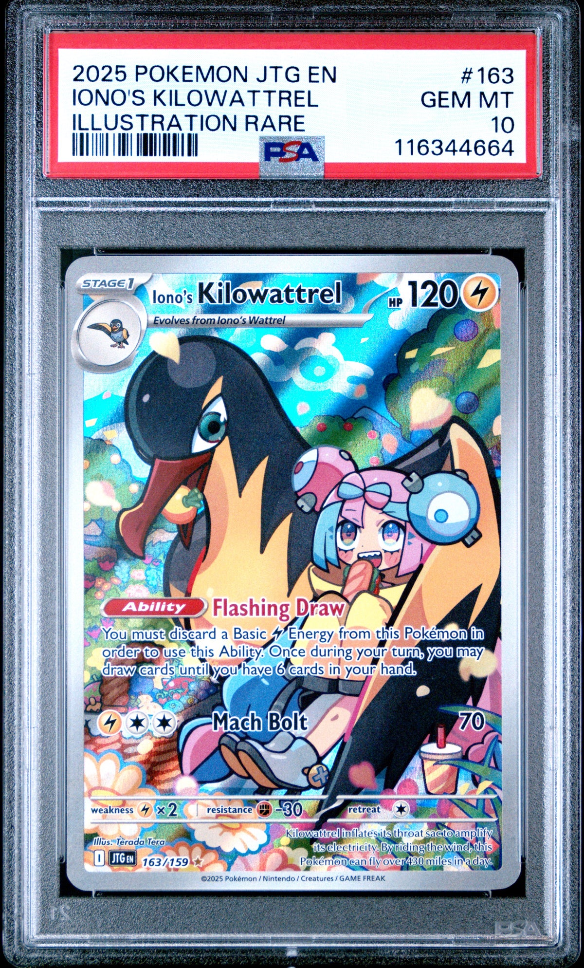 PSA 10 Iono's Kilowattrel (Illustration Rare) [Journey Together]
