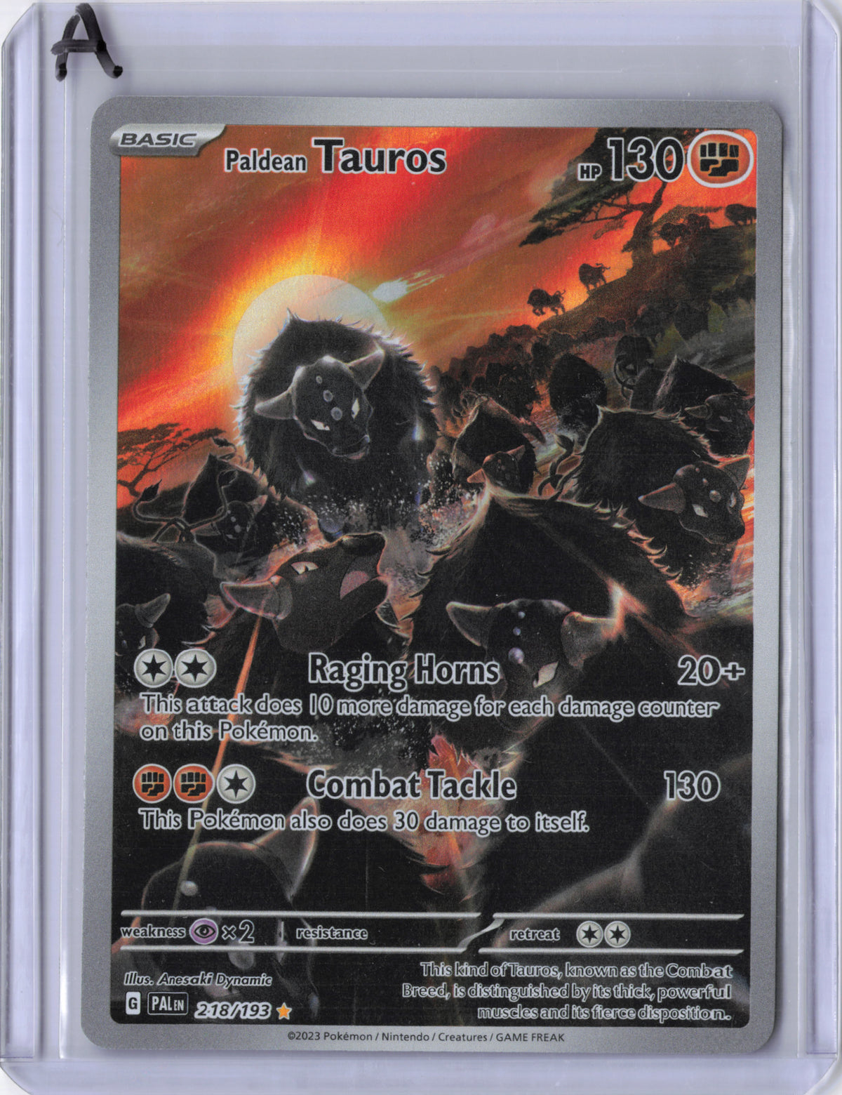 Paldean Tauros - Paldea Evolved