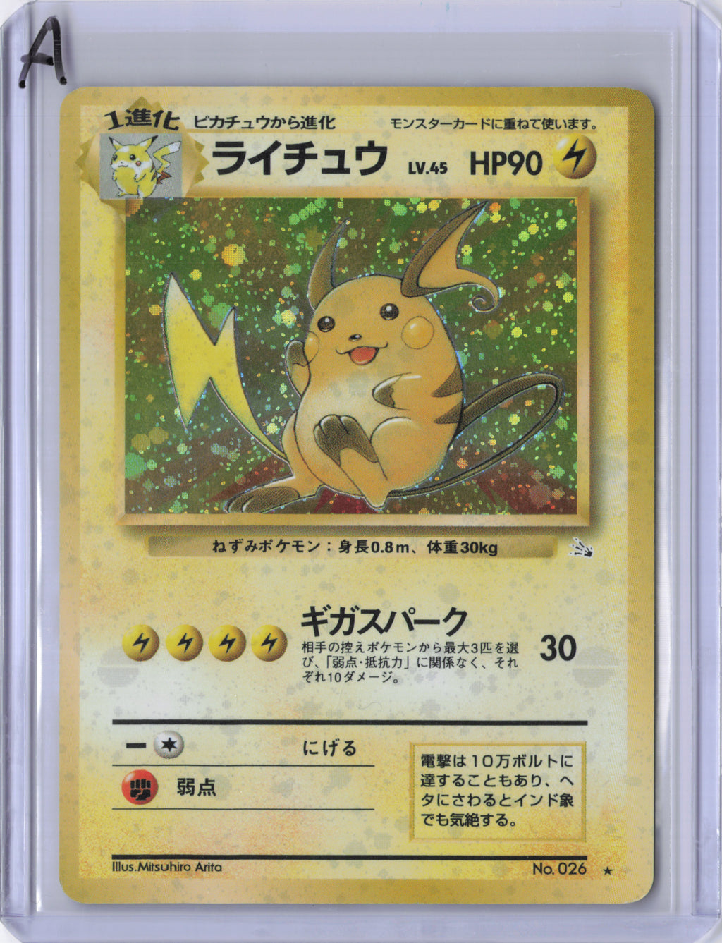 Japanese Raichu - Mystery of the Fossils - LP