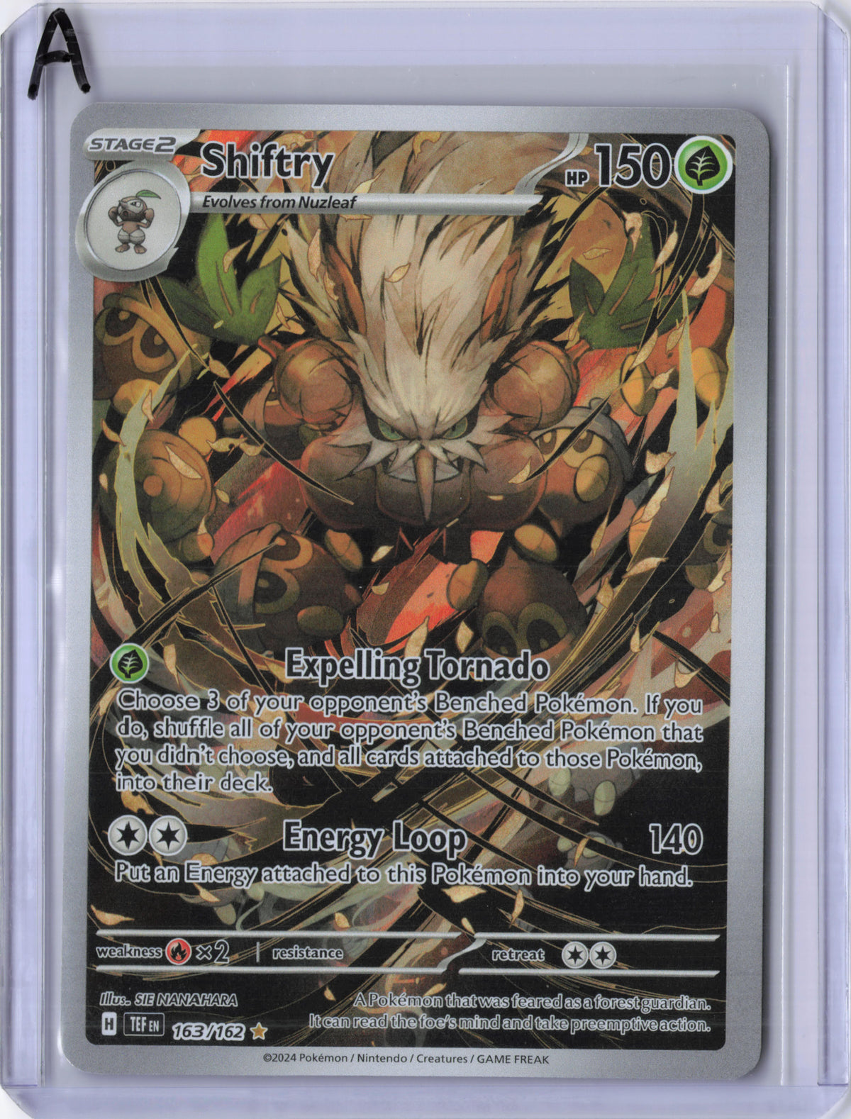 Shiftry - 163/162 - Temporal Forces - NM