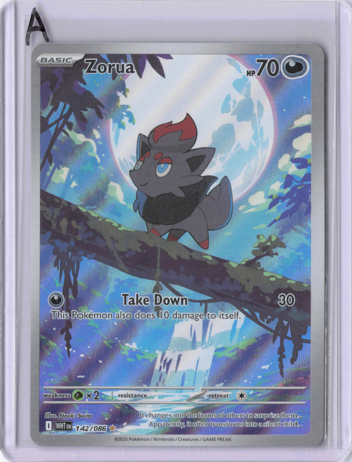 Zorua - White Flare