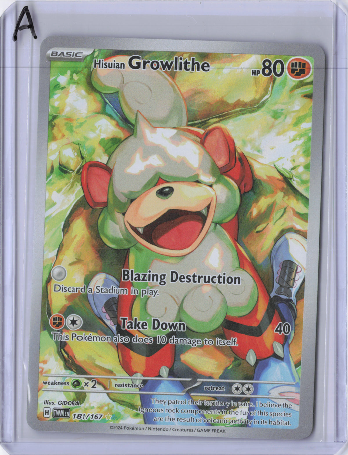 Hisuian Growlithe - 181/167 - Twilight Masquerade - NM