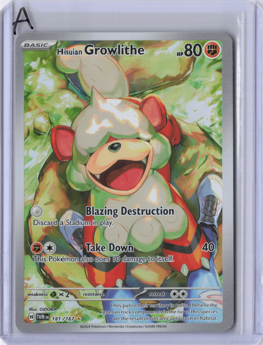 Hisuian Growlithe - 181/167 - Twilight Masquerade - NM