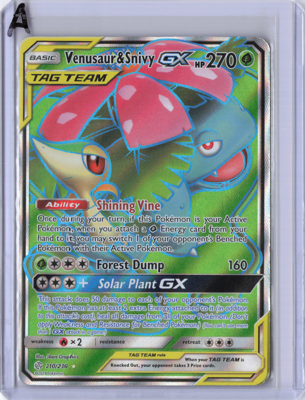 Venusaur & Snivy-GX - 210/236 - Cosmic Eclipse - HP