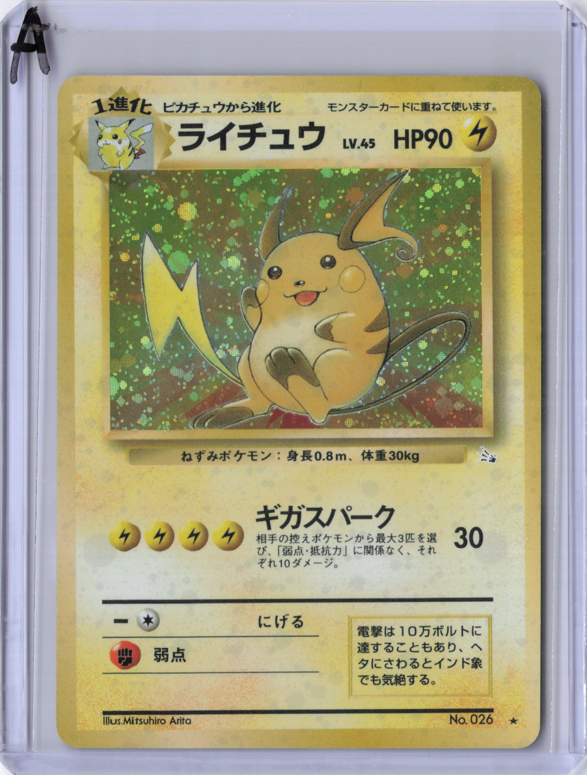 Japanese Raichu - Mystery of the Fossils