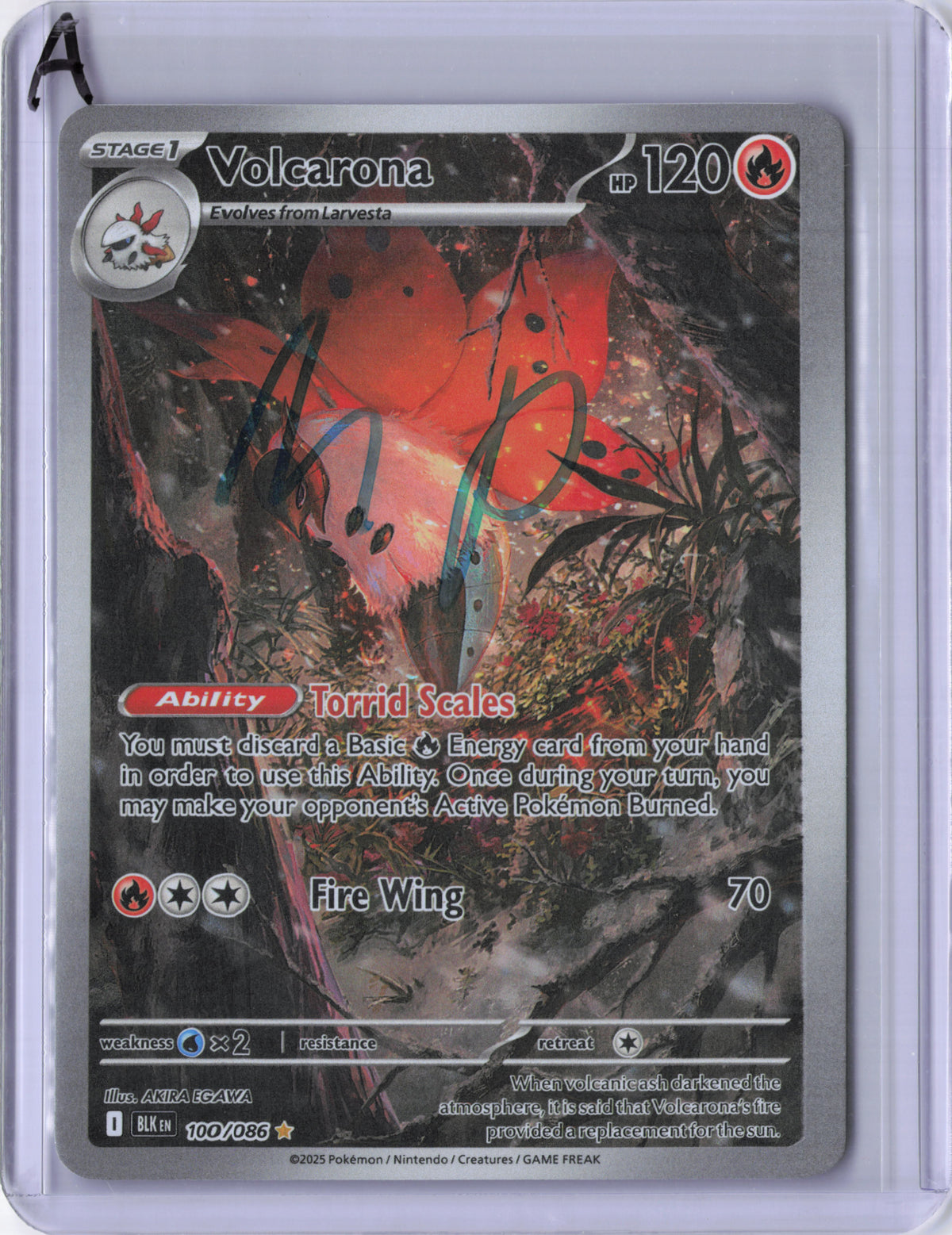Volcarona - 100/086 - Black Bolt - MP