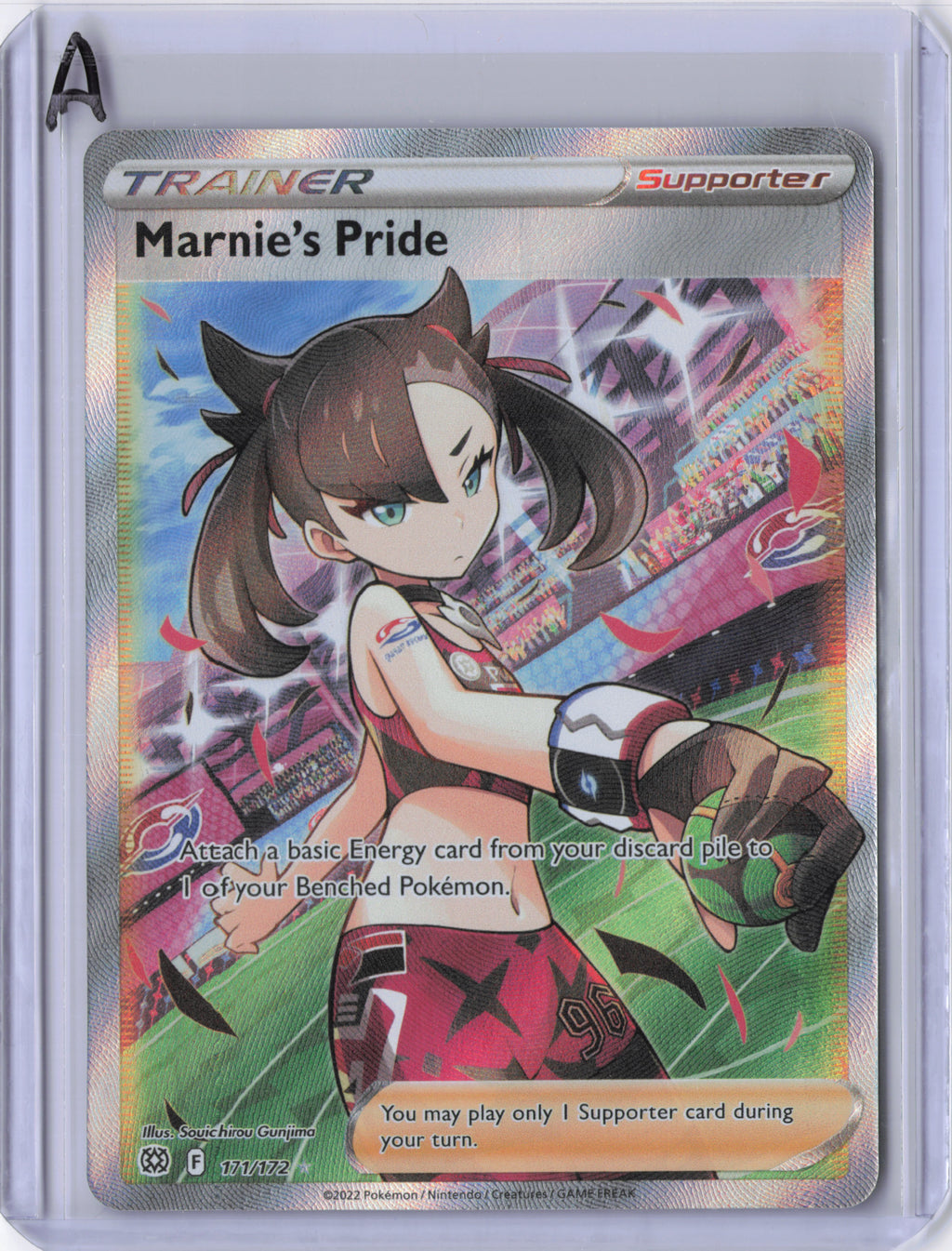 Marnie's Pride - Brilliant Stars