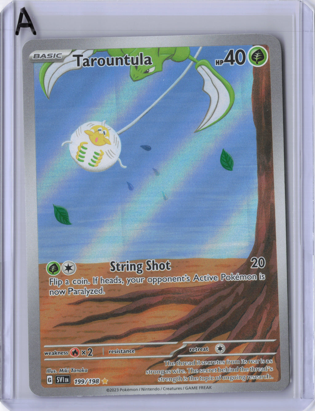 Tarountula - Scarlet & Violet
