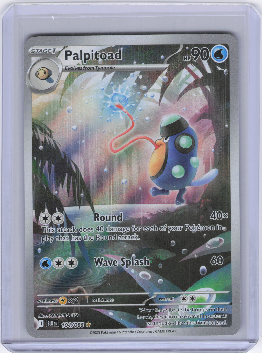 Palpitoad - 104/086 - SV: Black Bolt (BLK)