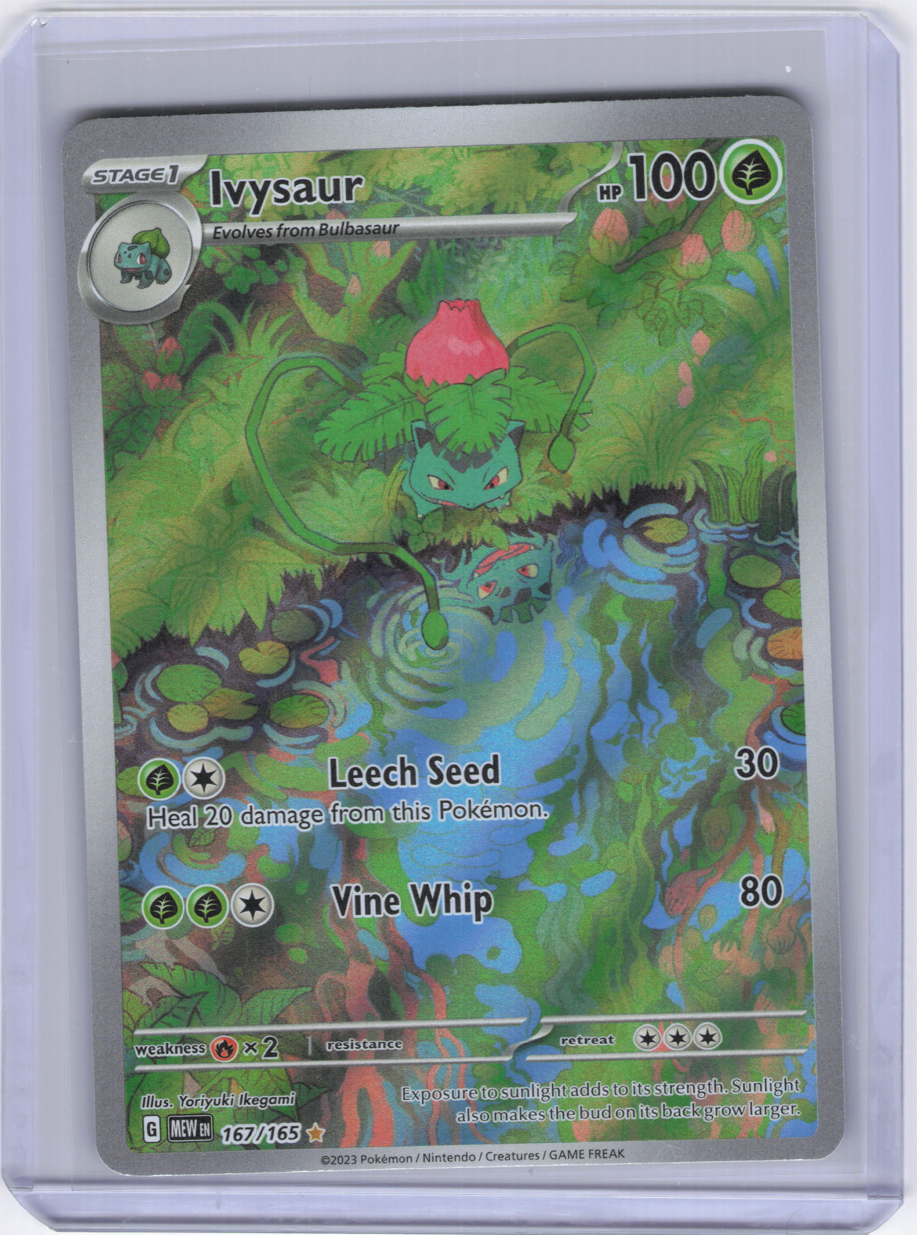 Ivysaur - 167/165 - SV: Scarlet & Violet 151 (MEW)