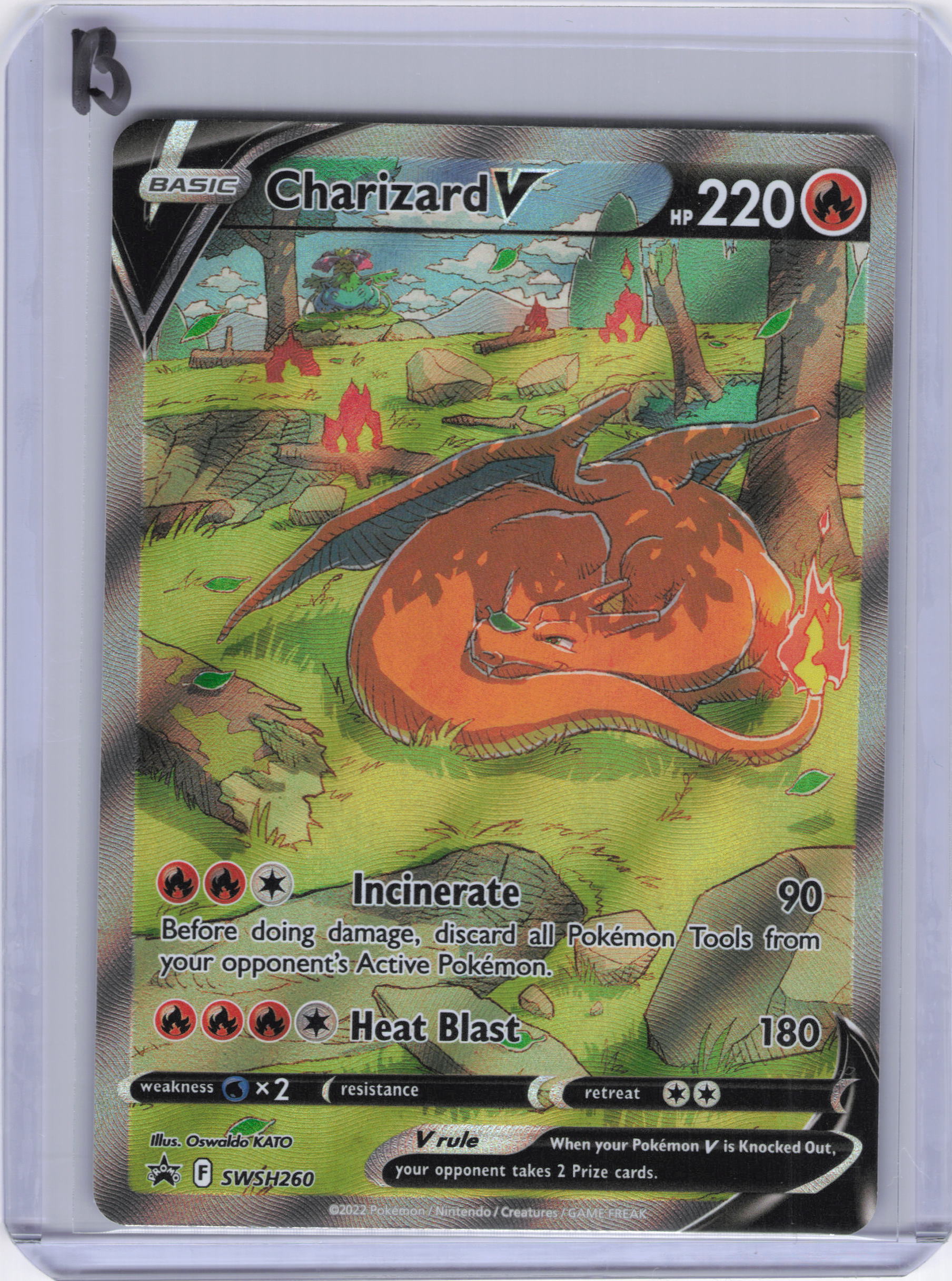 Charizard V - SWSH260 - SWSH: Sword & Shield Promo Cards (SWSD)