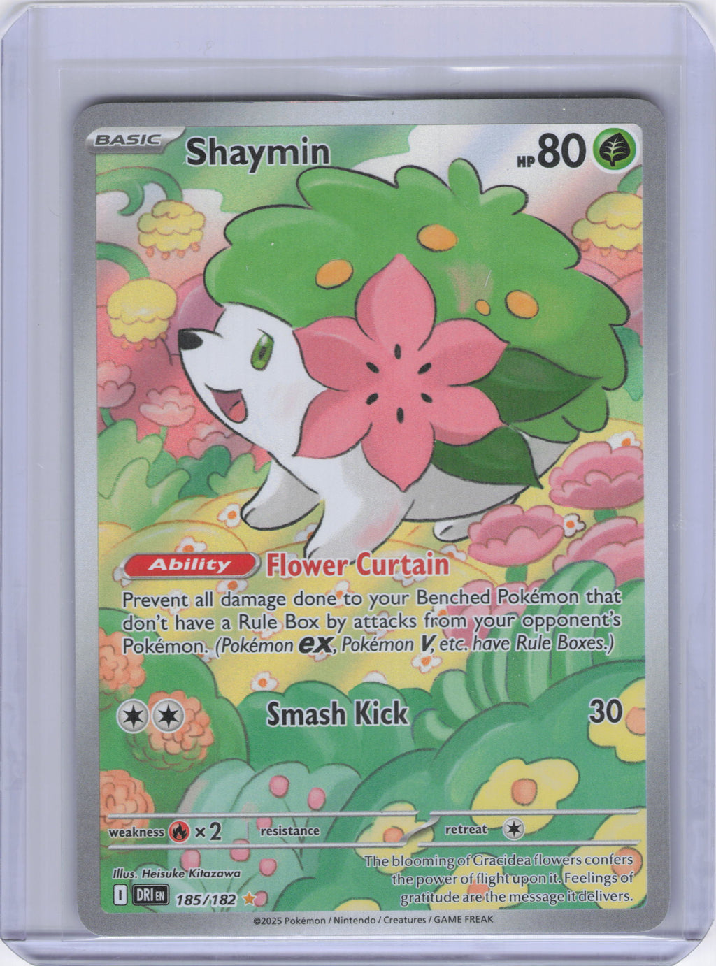 Shaymin - 185/182 - SV10: Destined Rivals (DRI)