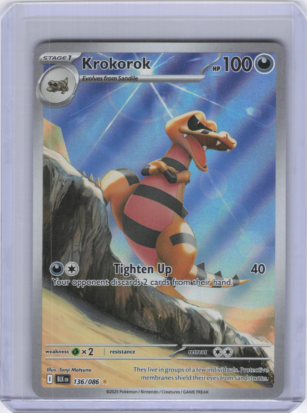 Krokorok - 136/086 - SV: Black Bolt (BLK)
