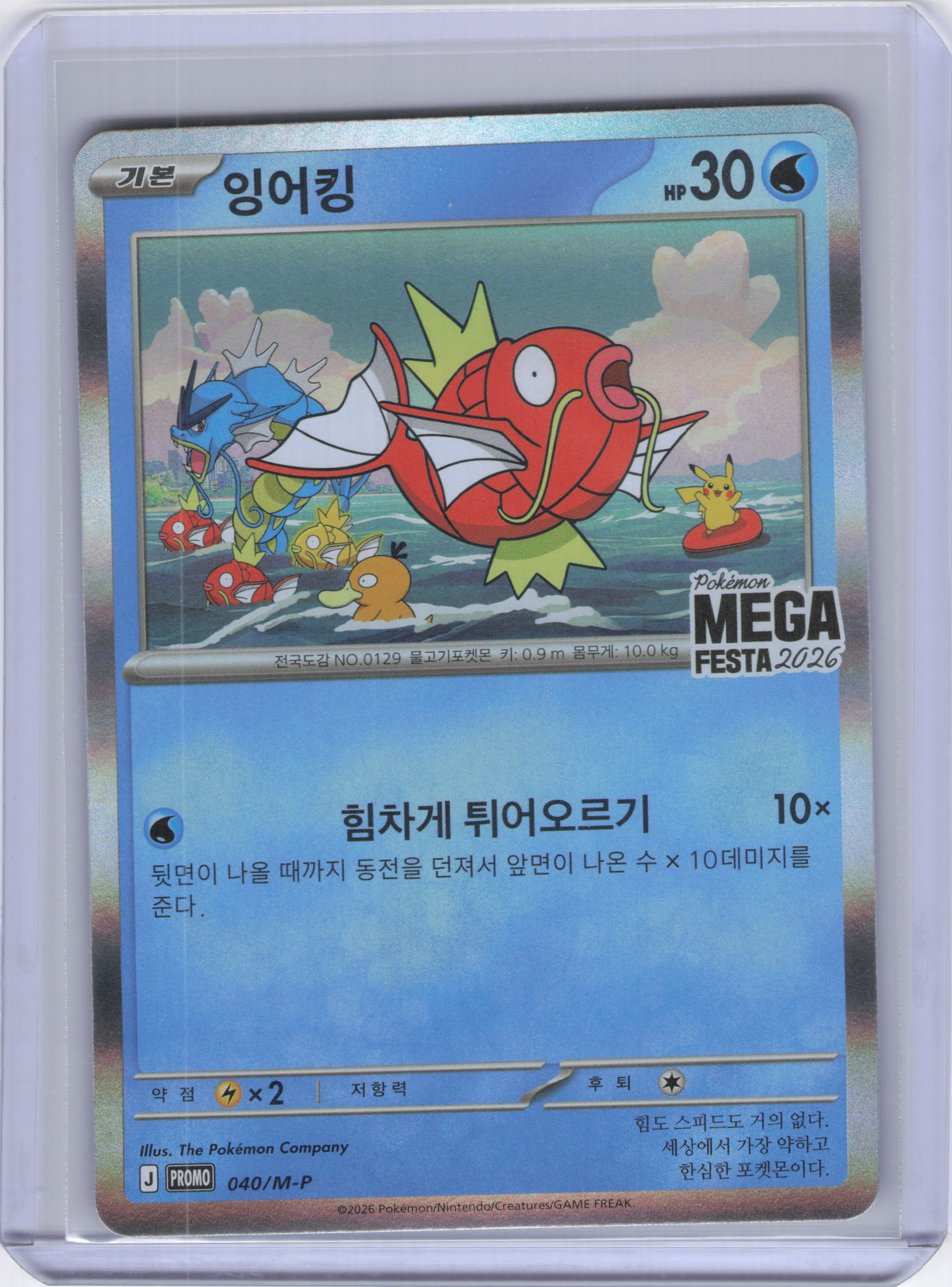 Korean Magikarp - PROMO