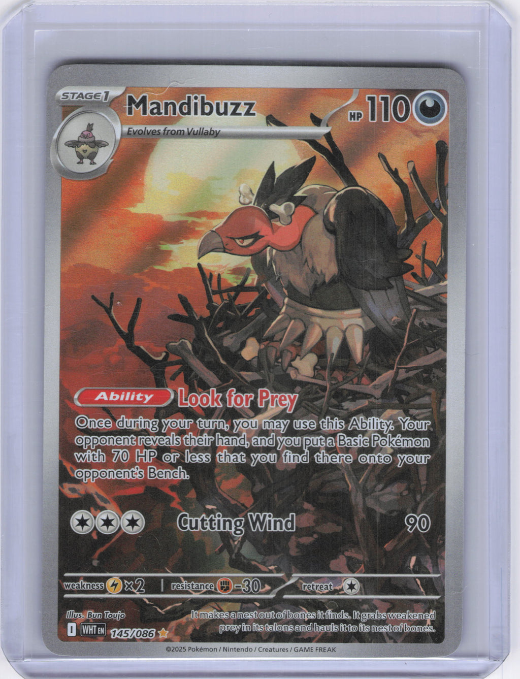 Mandibuzz - 145/086 - SV: White Flare (WHT)