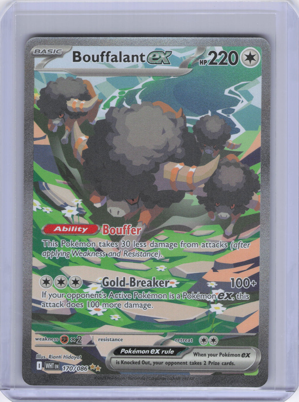 Bouffalant ex - 170/086 - SV: White Flare (WHT)