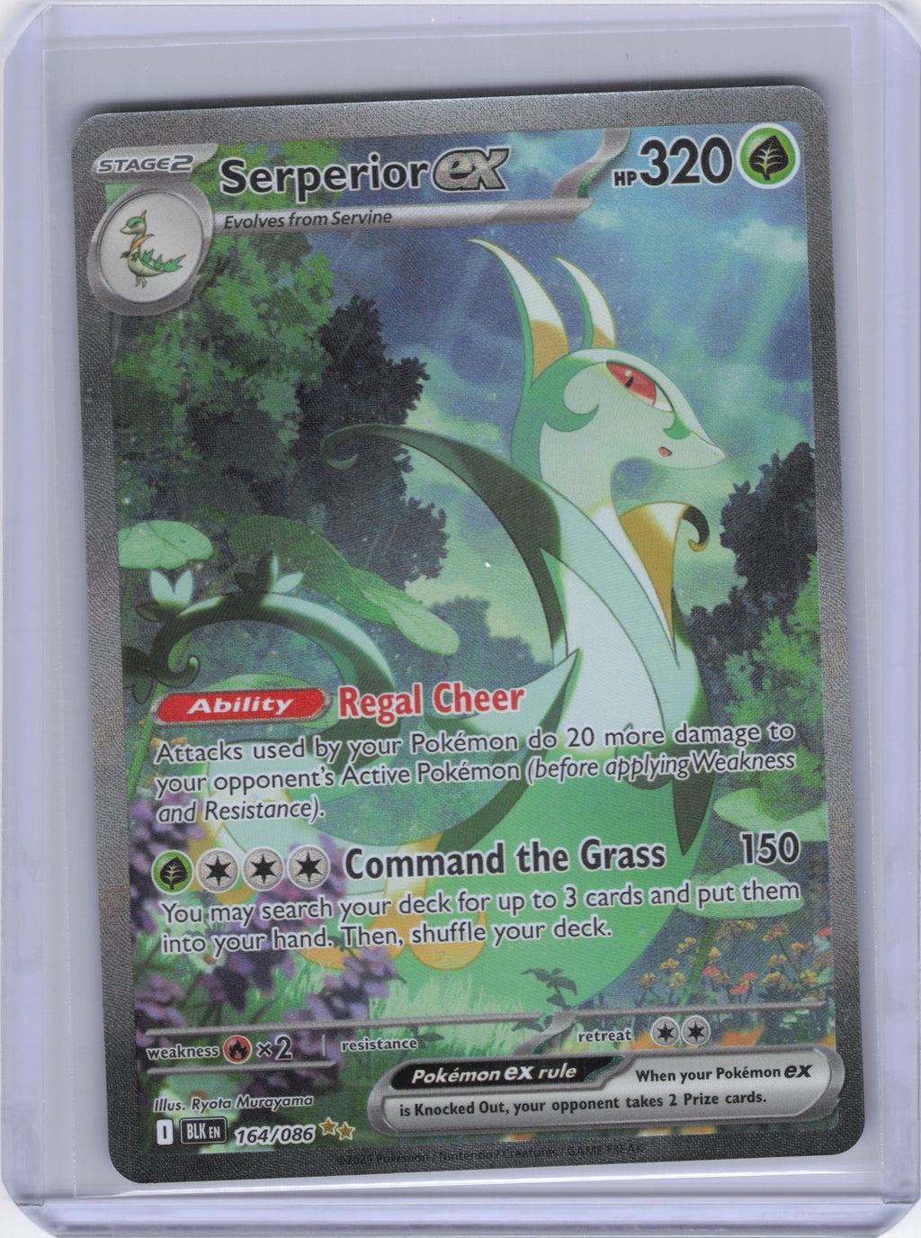Serperior ex - 164/086 - SV: Black Bolt (BLK)