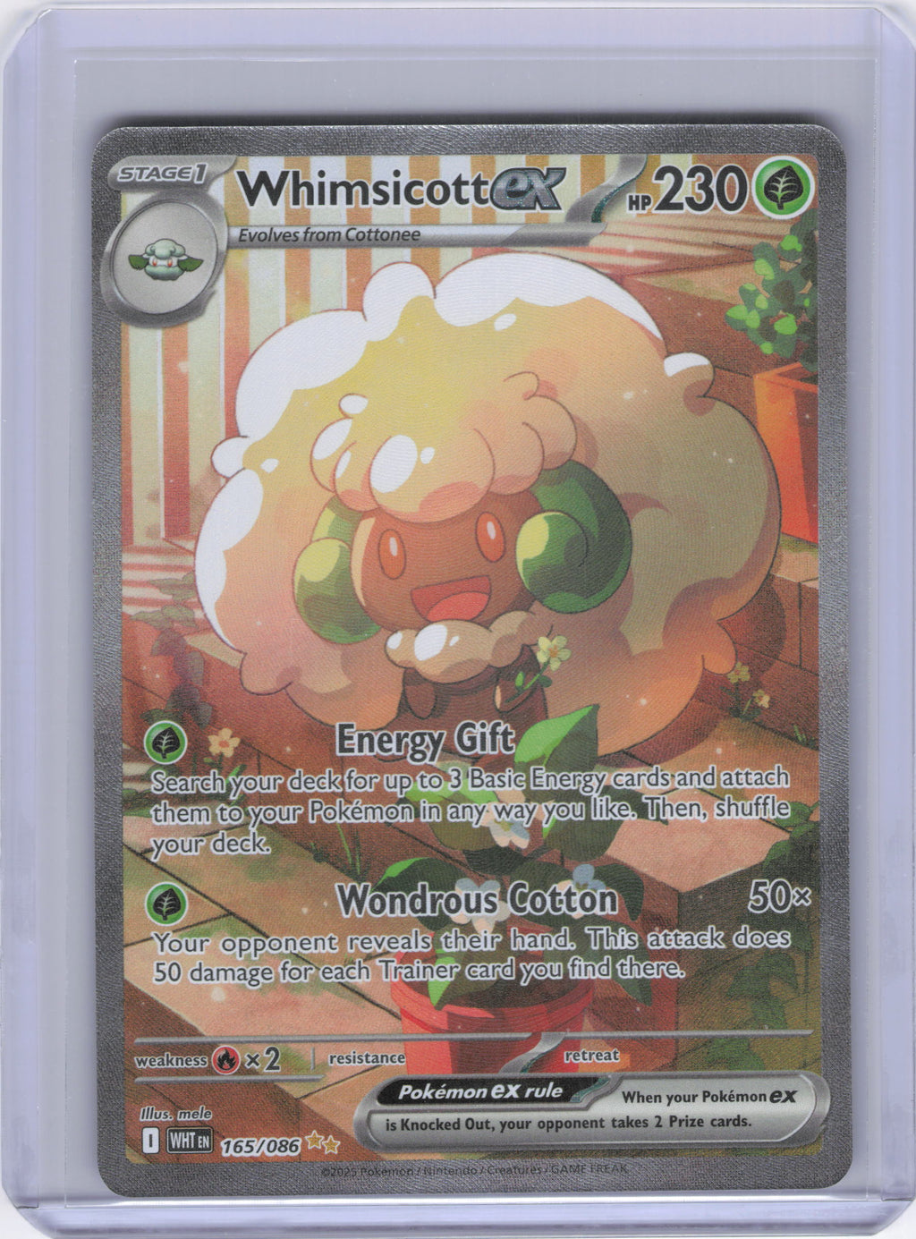 Whimsicott ex - 165/086 - SV: White Flare (WHT)