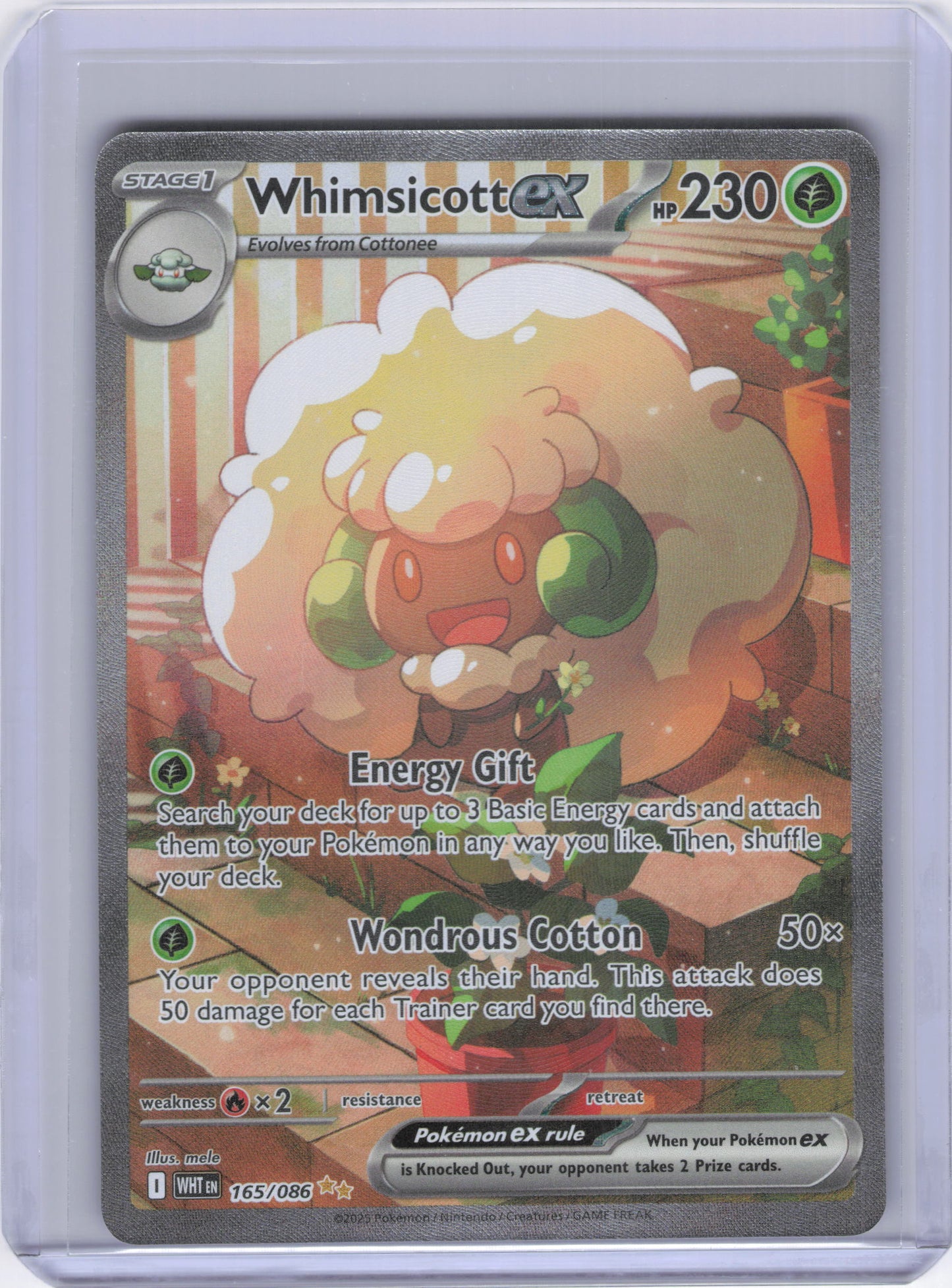 Whimsicott ex - 165/086 - SV: White Flare (WHT)