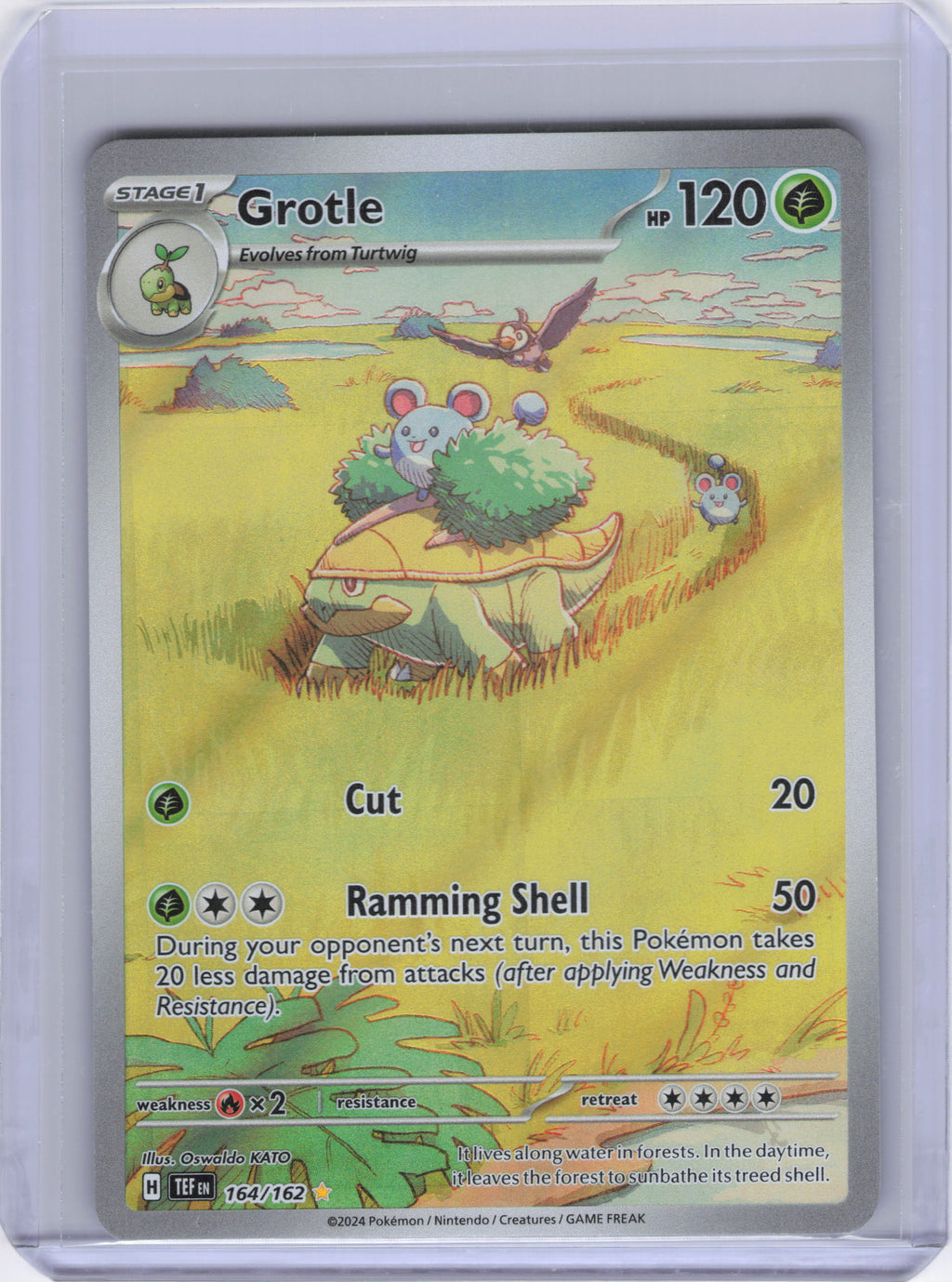 Grotle - 164/162 - SV05: Temporal Forces (TEF)