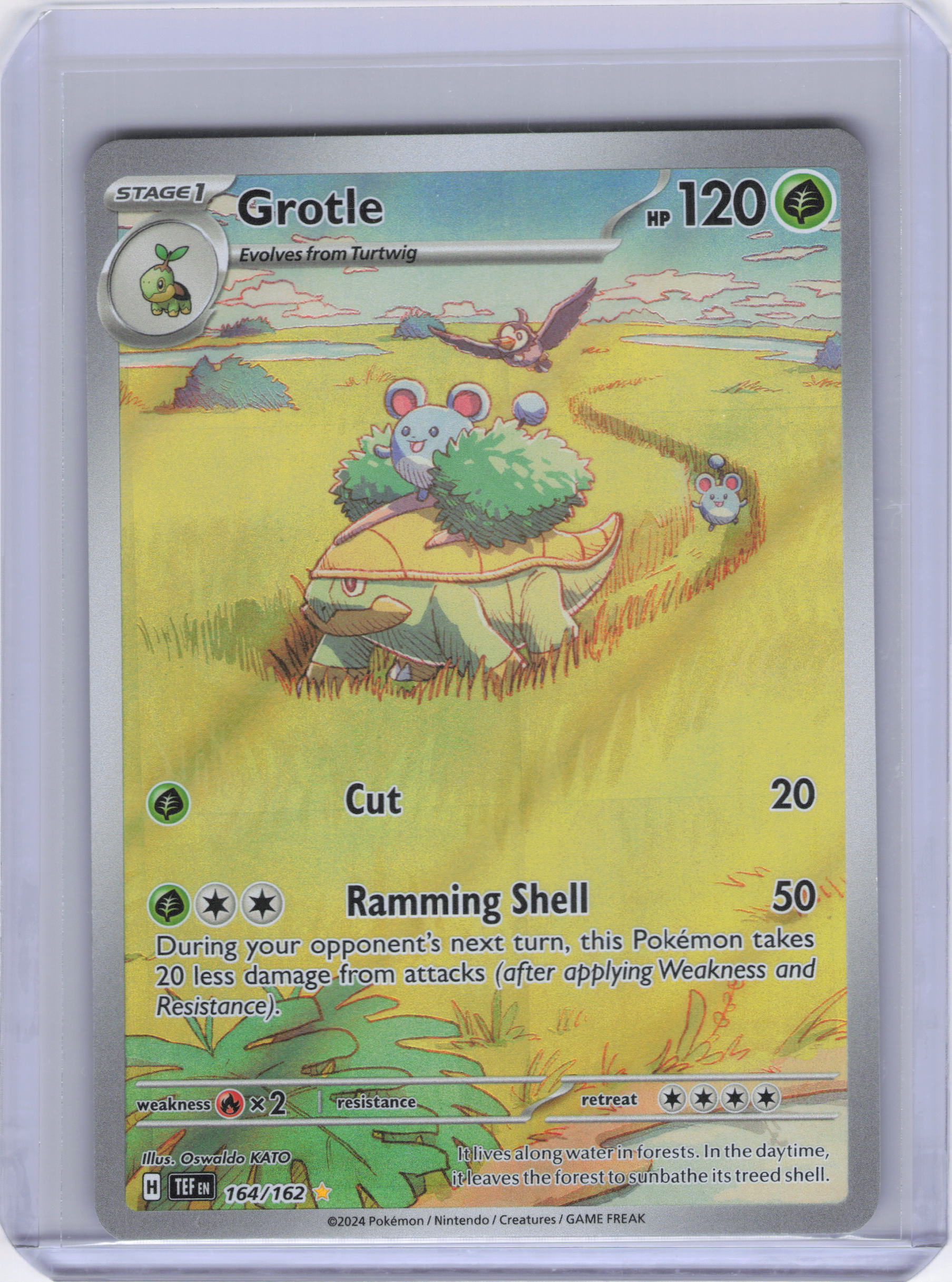 Grotle - 164/162 - SV05: Temporal Forces (TEF)
