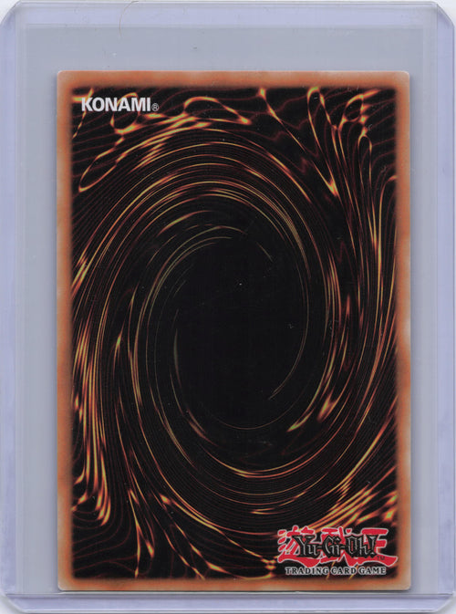 Dark Rebellion Xyz Dragon (Ghost Rare) - The New Challengers (NECH) [1st Edition]