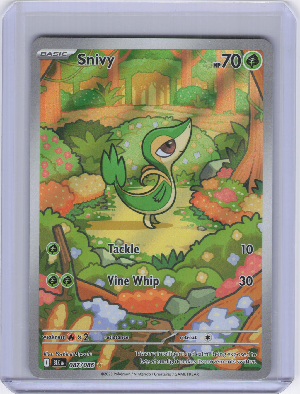 Snivy - 087/086 - SV: Black Bolt (BLK)
