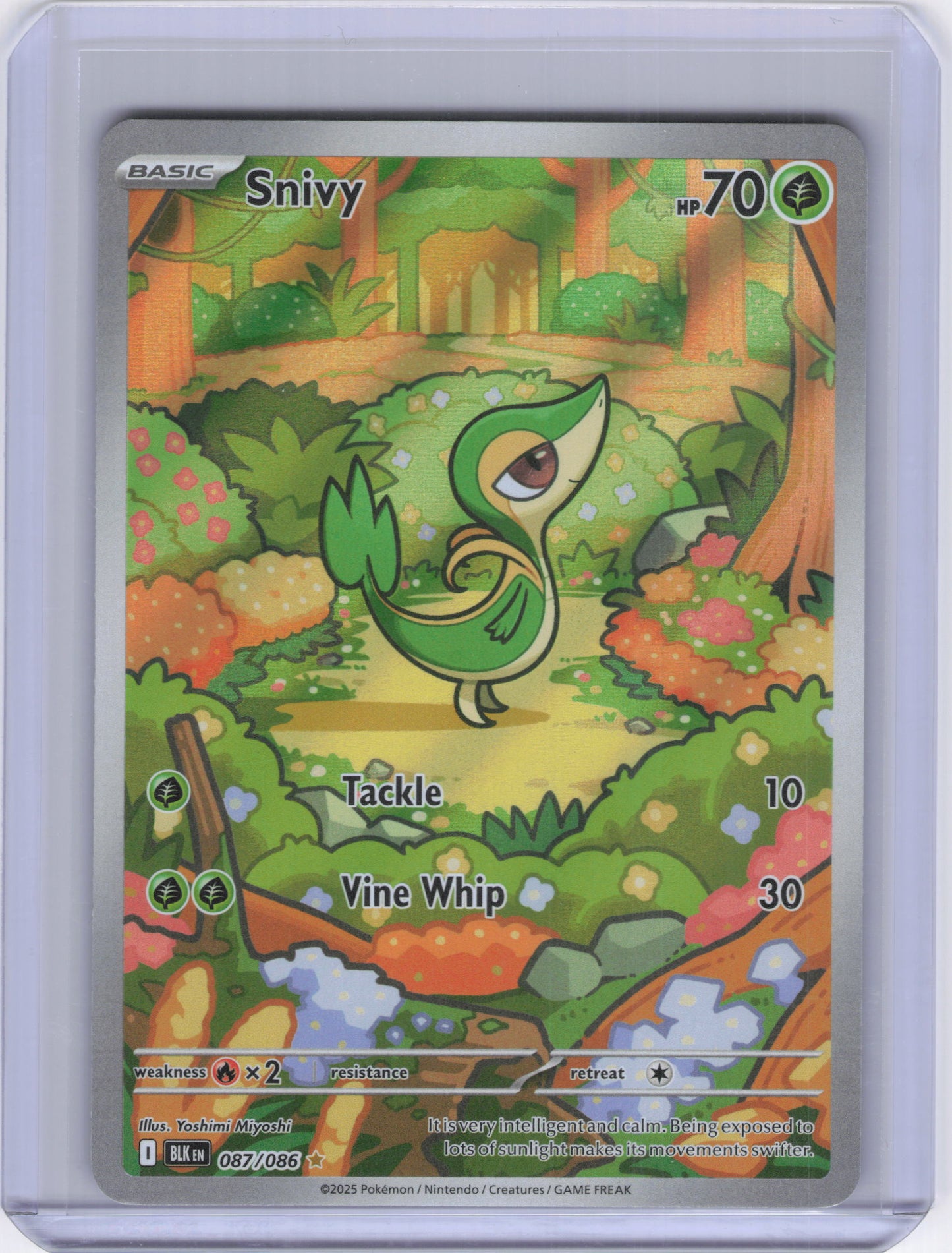 Snivy - 087/086 - SV: Black Bolt (BLK)