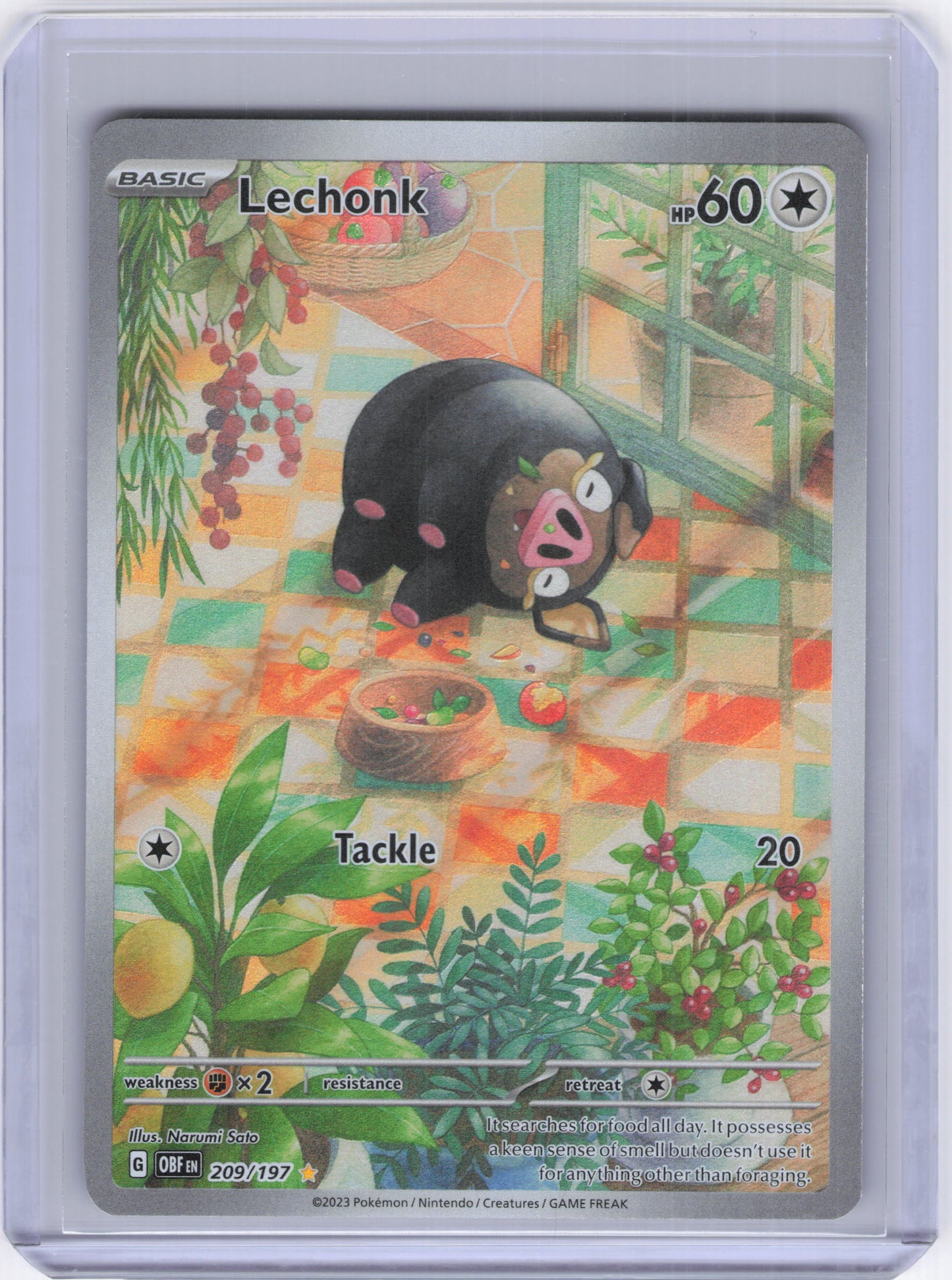 Lechonk - 209/197 - SV03: Obsidian Flames (OBF)