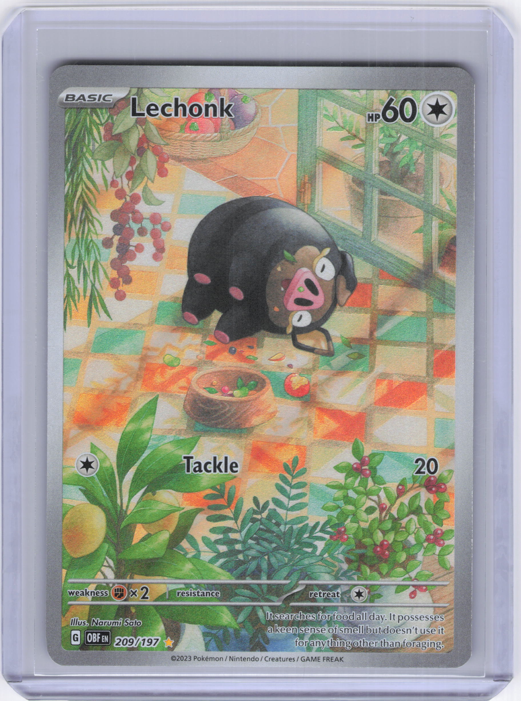 Lechonk - 209/197 - SV03: Obsidian Flames (OBF)