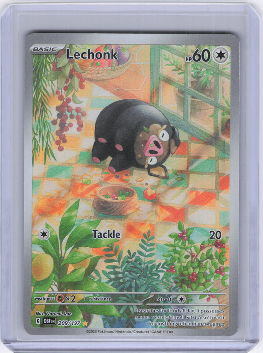 Lechonk - 209/197 - SV03: Obsidian Flames (OBF)