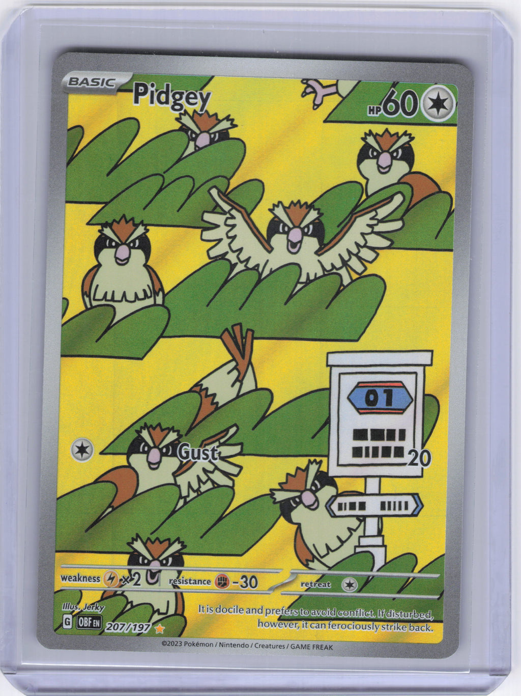 Pidgey - 207/197 - SV03: Obsidian Flames (OBF)