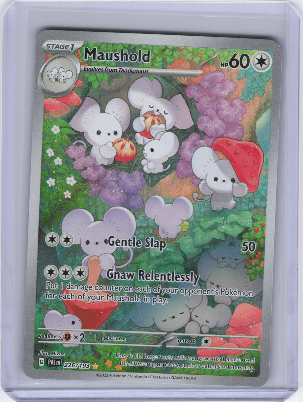 Maushold - 226/193 - SV02: Paldea Evolved (PAL)
