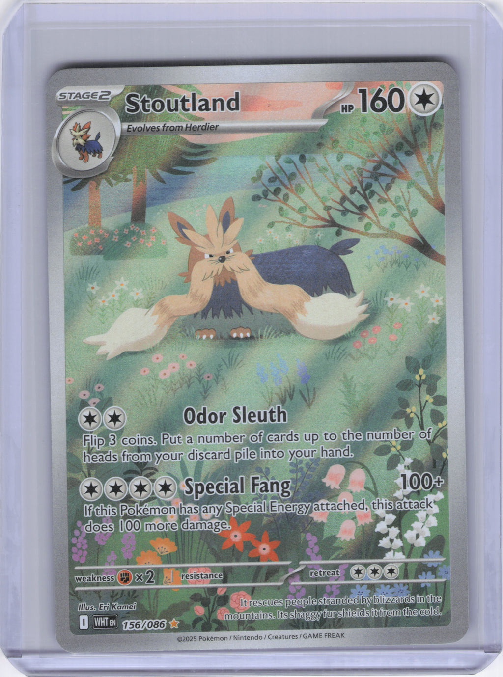 Stoutland - 156/086 - SV: White Flare (WHT)