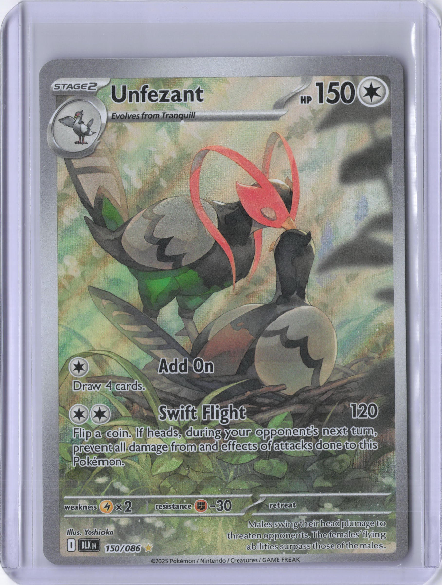 Unfezant - 150/086 - SV: Black Bolt (BLK)