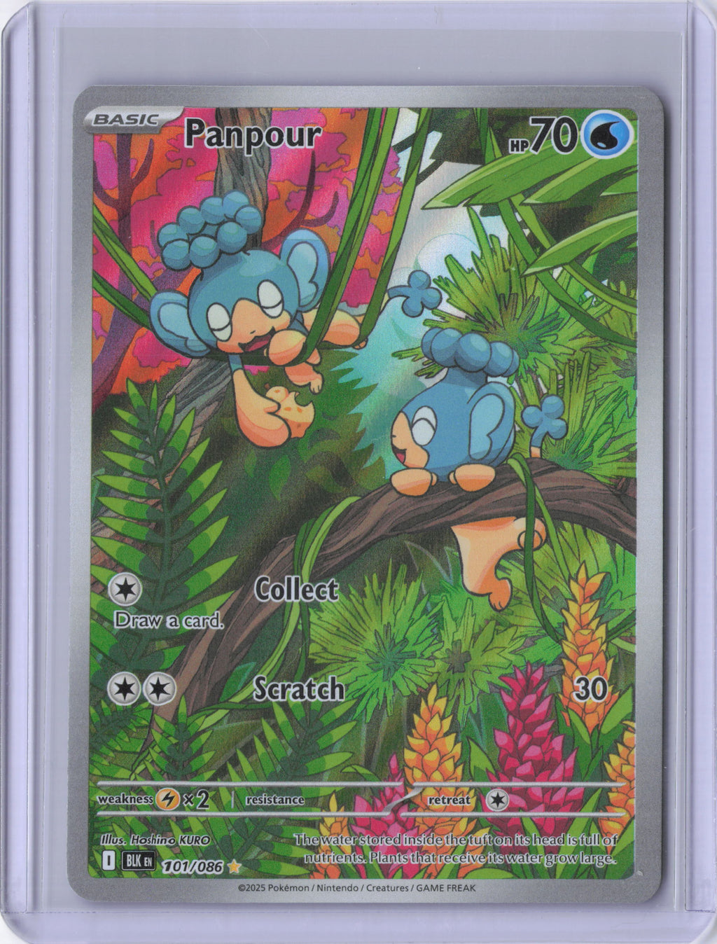Panpour - 101/086 - SV: Black Bolt (BLK)
