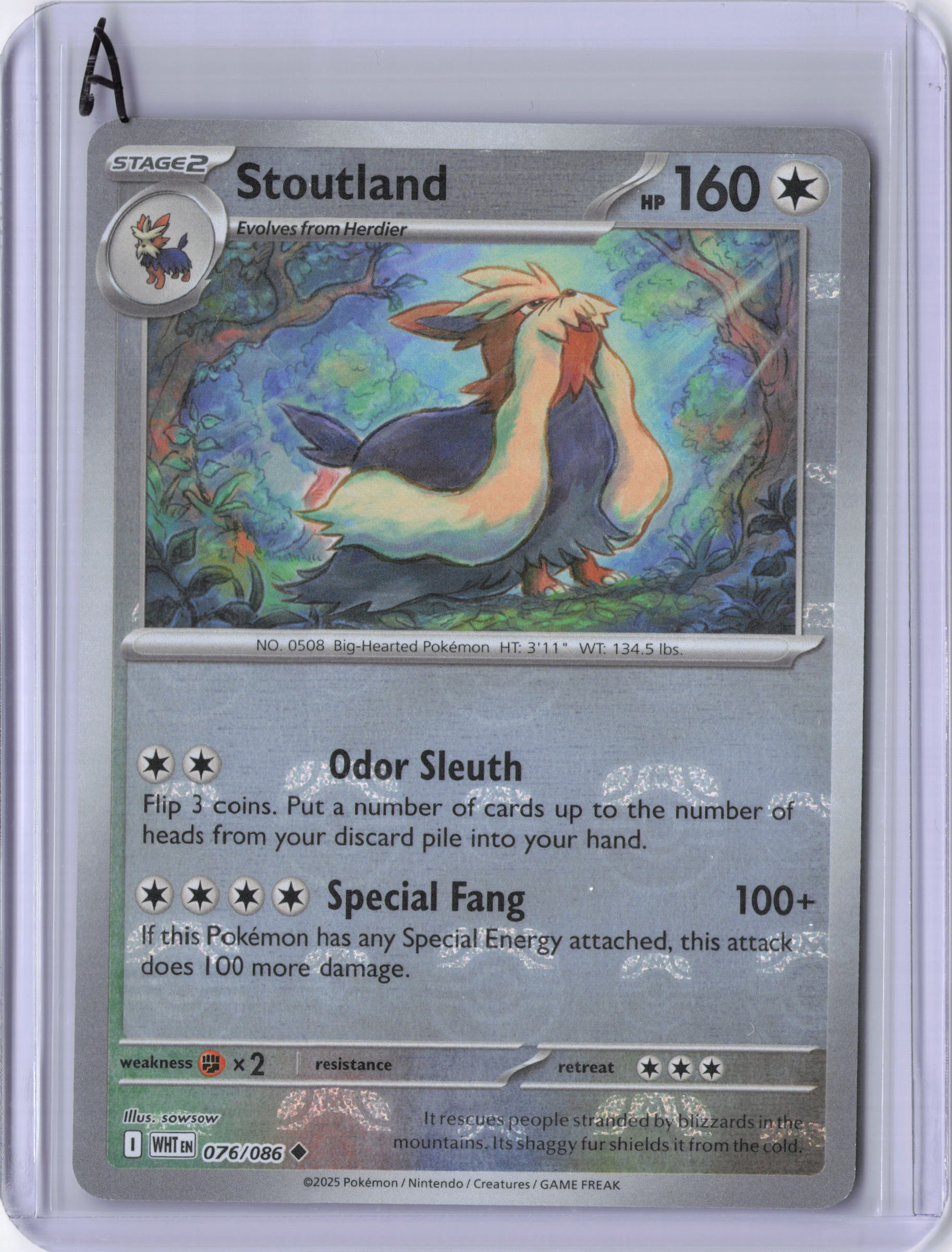 Stoutland (Master Ball Pattern) - SV: White Flare (WHT)
