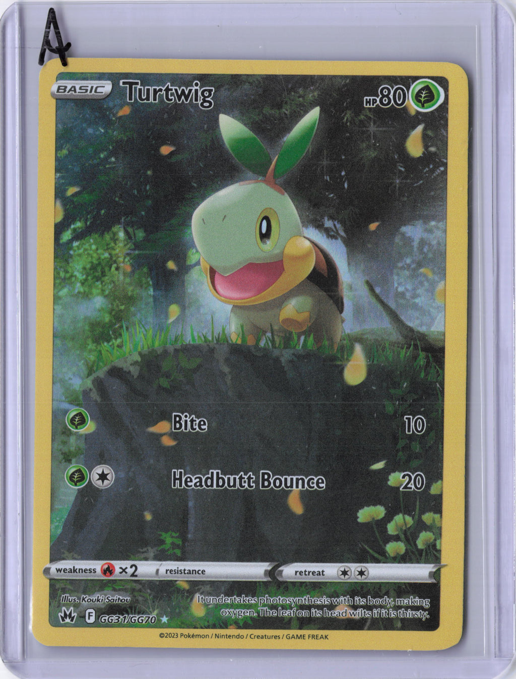 Turtwig - SWSH: Crown Zenith: Galarian Gallery (CRZ:GG)