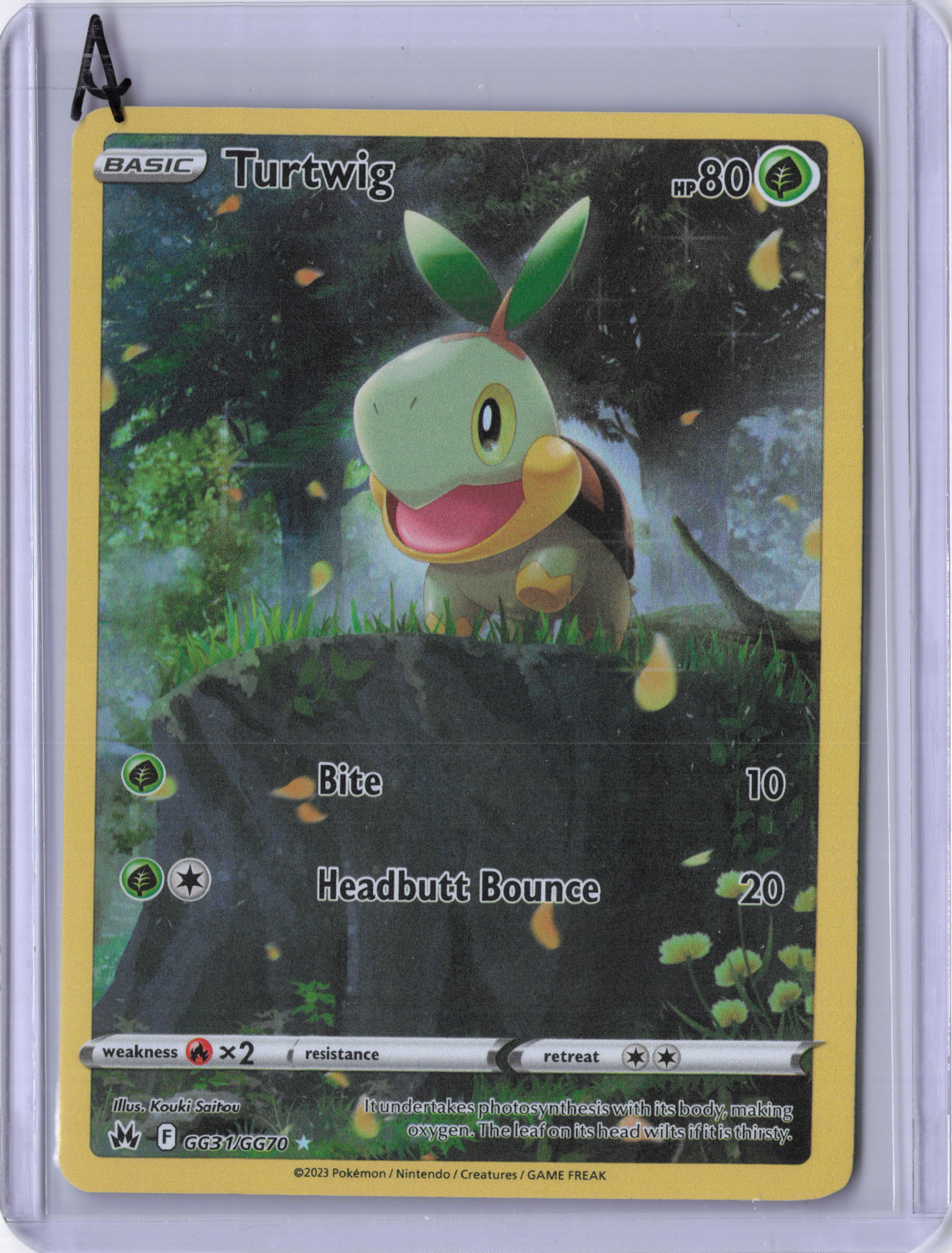 Turtwig - SWSH: Crown Zenith: Galarian Gallery (CRZ:GG)