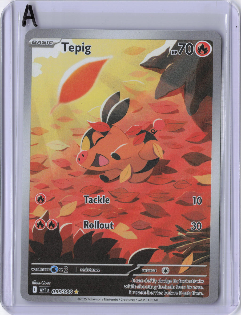 Tepig - 096/086 - SV: White Flare (WHT)