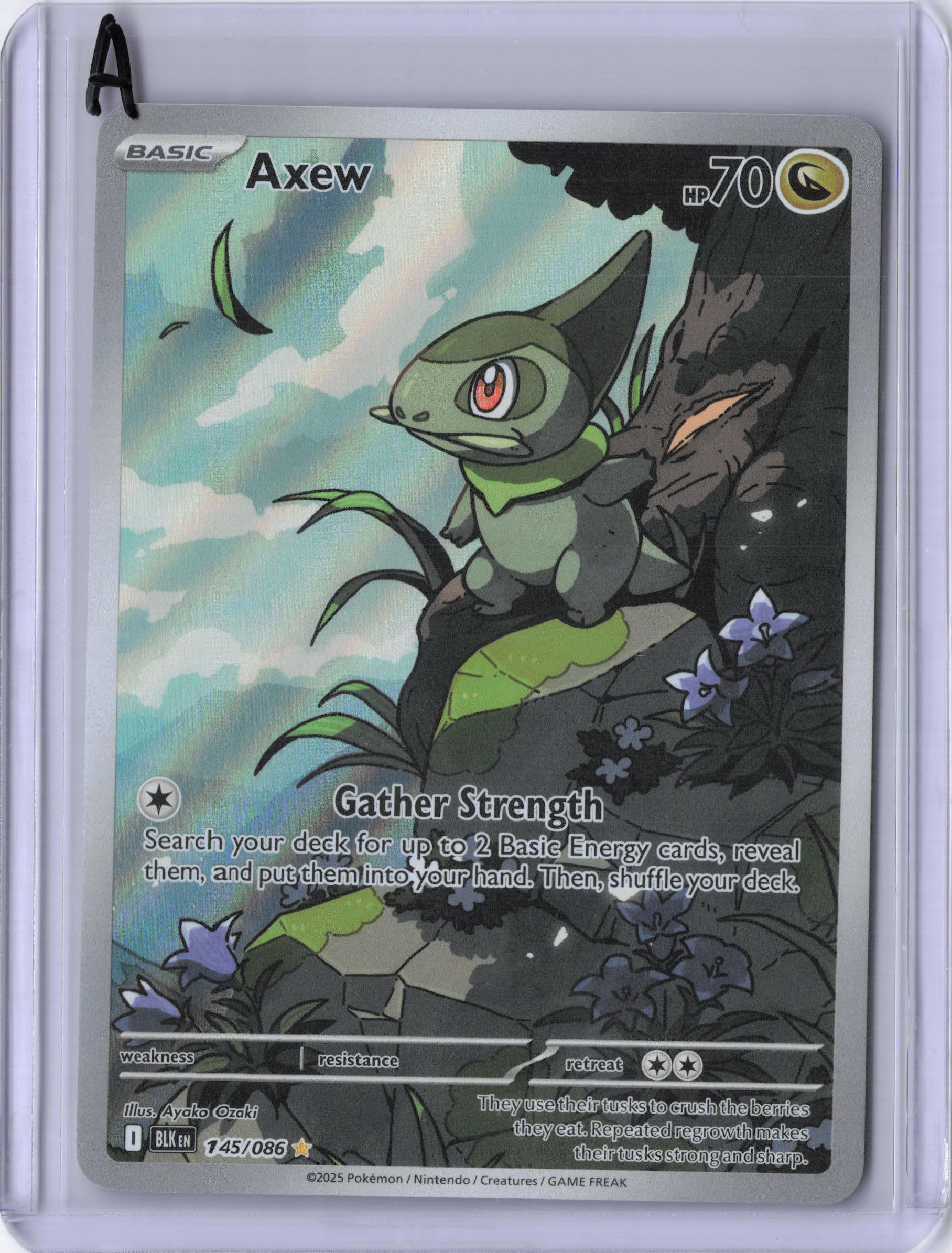 Axew - 145/086 - SV: Black Bolt (BLK)