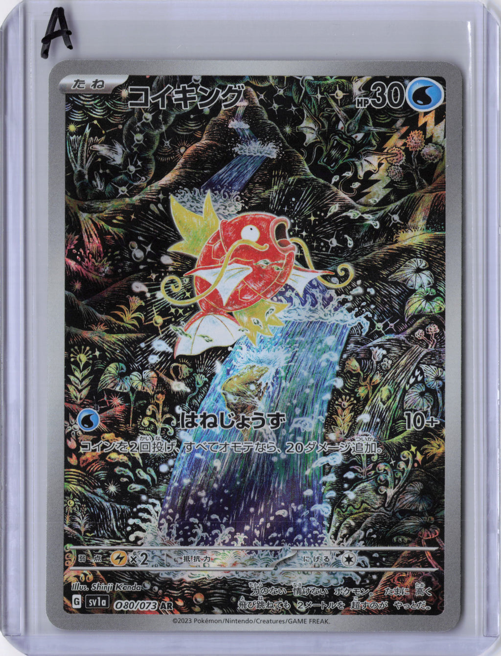 Japanese Magikarp - 080/073 - SV1a: Triplet Beat (SV1a)