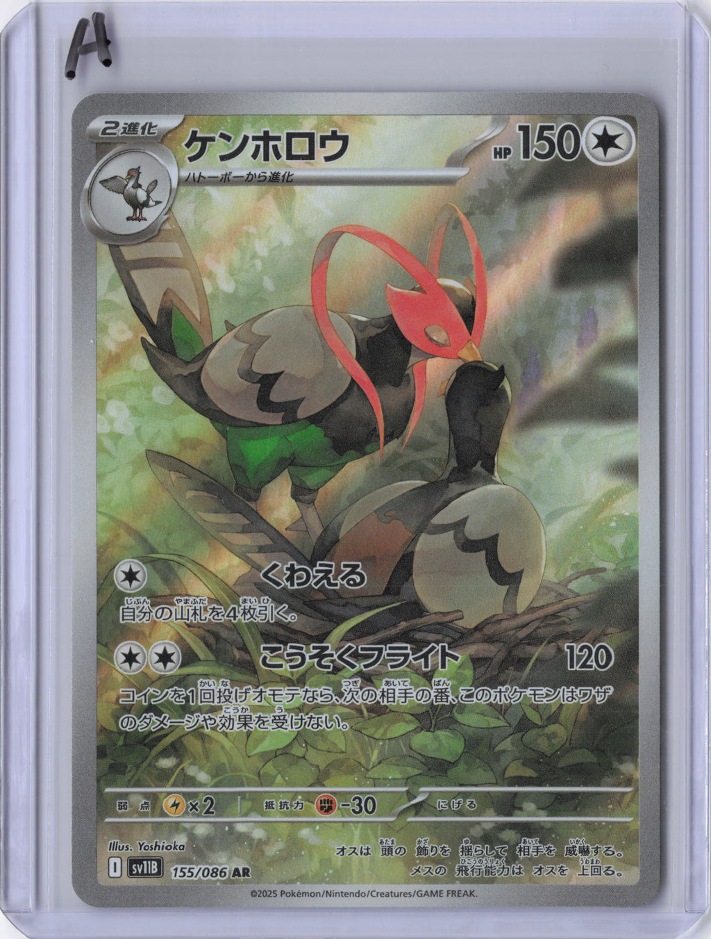 Japanese Unfezant - 155/086 - SV11B: Black Bolt (SV11B)