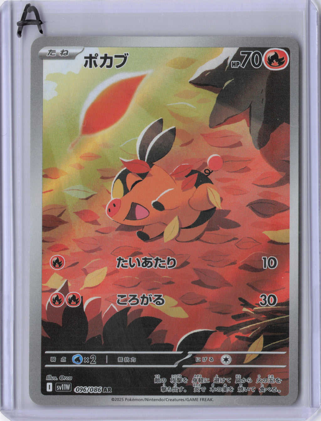Japanese Tepig - 096/086 - SV11W: White Flare (SV11W)