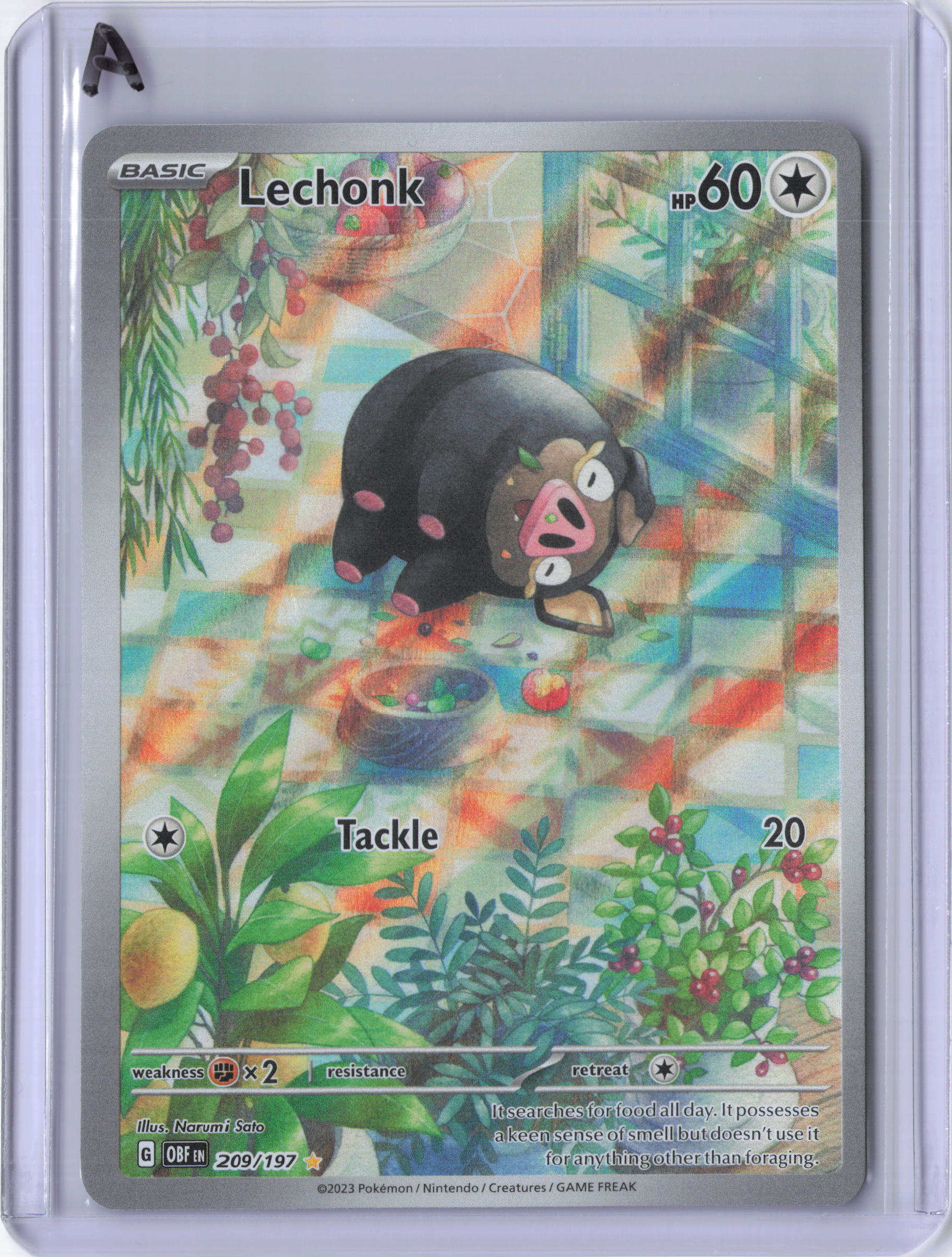 Lechonk - 209/197 - SV03: Obsidian Flames (OBF)