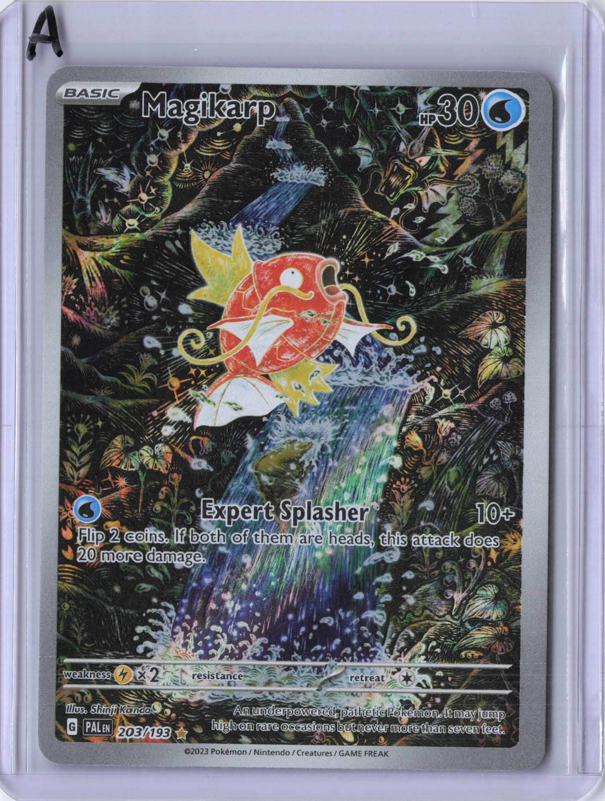 Magikarp - 203/193 - SV02: Paldea Evolved (PAL) (LP)