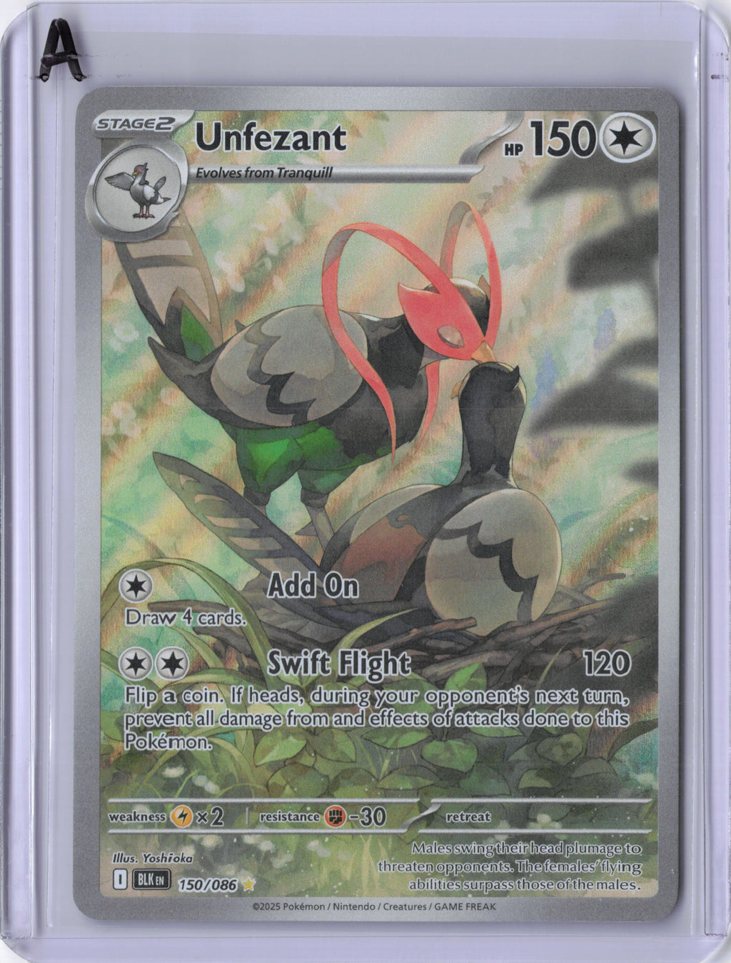 Unfezant - 150/086 - SV: Black Bolt (BLK)
